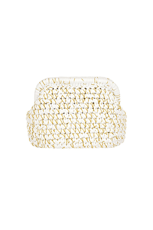 The Colorful Clutch bag
