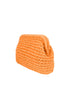 The Colorful Clutch bag