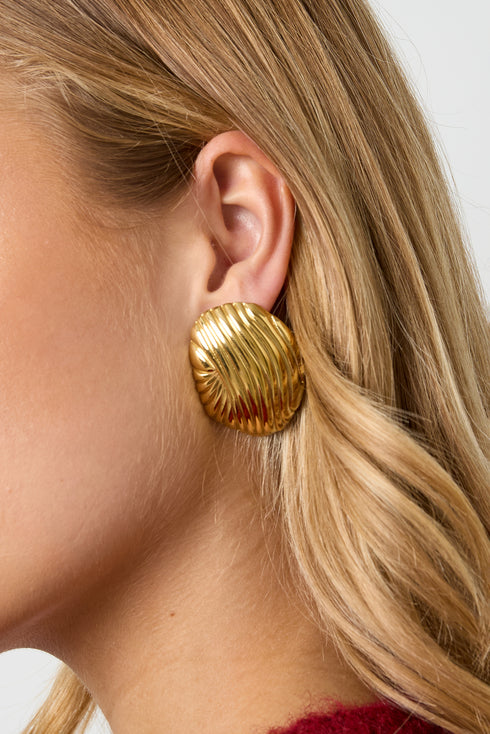 Stainless Steel Stud Earrings irregular shape Casual Daily Simple Series Women's jewelry