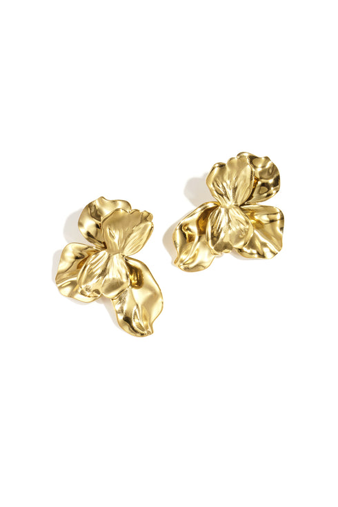 Stainless Steel Stud Earrings Flower Casual Daily Simple Series Women's jewelry