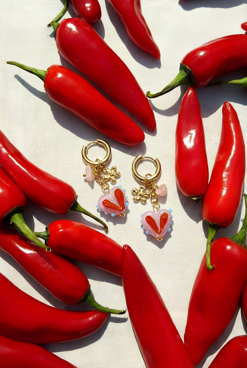 Stainless Steel Drop Earrings Simple Daily Romantic Series Women's jewelry