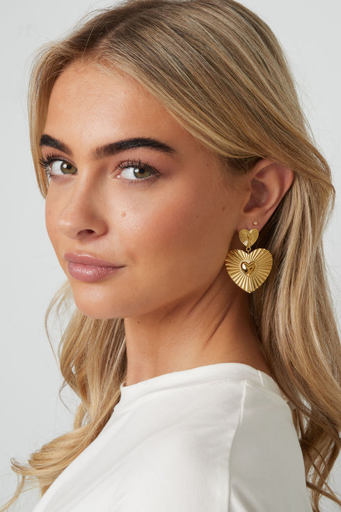 Stainless Steel Drop Earrings Heart Casual Daily Simple Series Women's jewelry